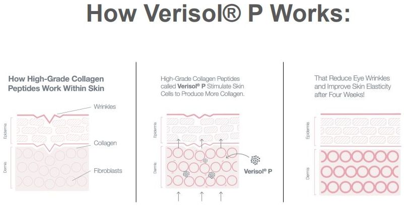 how does verisol p collagen work